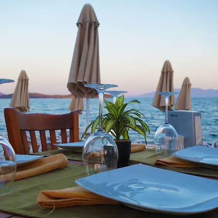 Hotel Zest Exclusive & Ortakent