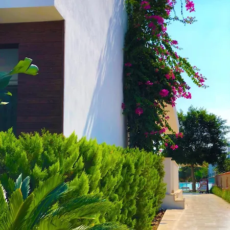 Zest Exclusive & Ortakent