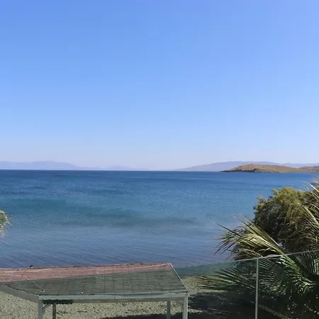 Zest Exclusive & 3* Ortakent