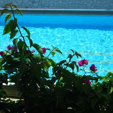 Zest Exclusive Hotel&spa