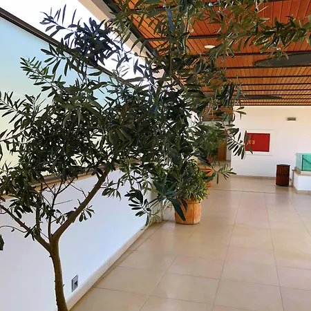 Zest Exclusive Hotel&spa Hotel 3*