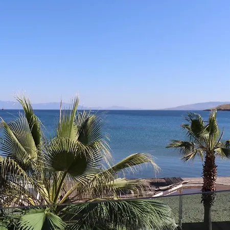 Zest Exclusive Hotel&spa 3* Ortakent