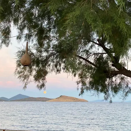 Zest Exclusive Hotel&spa Ortakent